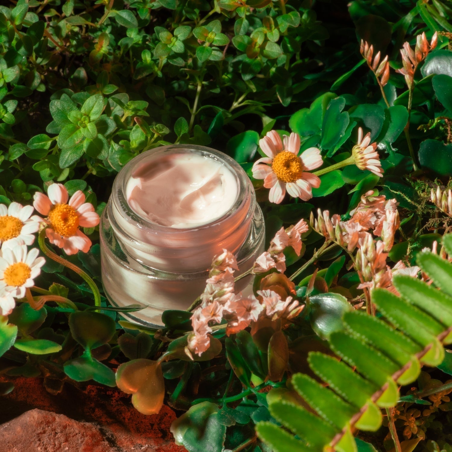 Ancient Hair Oiling Rituals You Need to Try